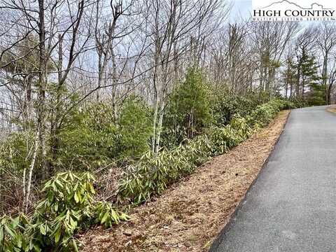 Tbd Chestnut Mountain Road, Banner Elk, NC 28604