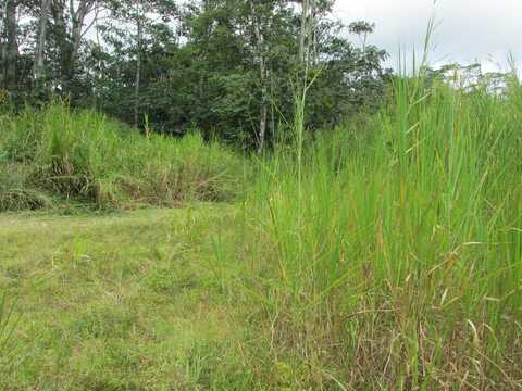 14-3547 NANAWALE BLVD, PAHOA, HI 96778