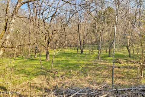 150 Cardwell Chapel Rd, Lenoir City, TN 37771