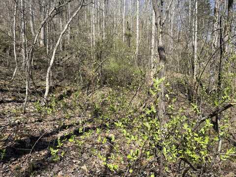 10289 Kentucky 40, Van Lear, KY 41265