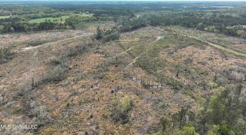 Highway 53, Perkinston, MS 39573