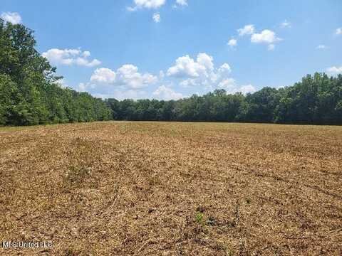 1604 N Old Canton Road, Canton, MS 39046