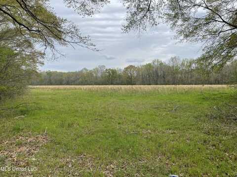 1604 N Old Canton Road, Canton, MS 39046