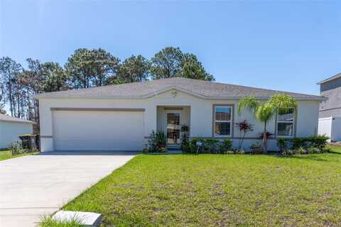151 FLATFISH COURT, POINCIANA, FL 34759