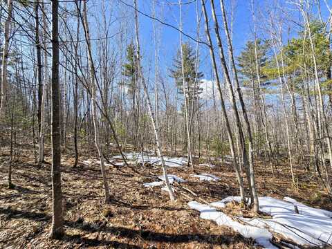 0 Sabattus Trail Road, Lovell, ME 04051