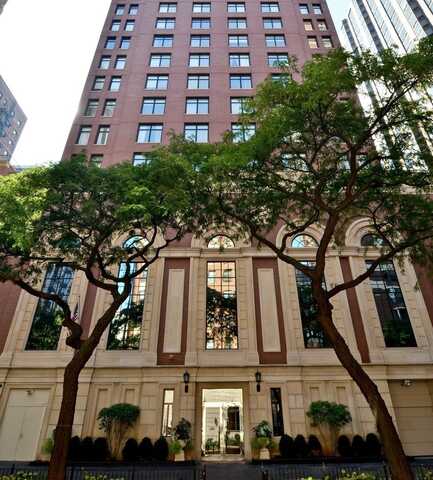 1122 N Dearborn Street, Chicago, IL 60610
