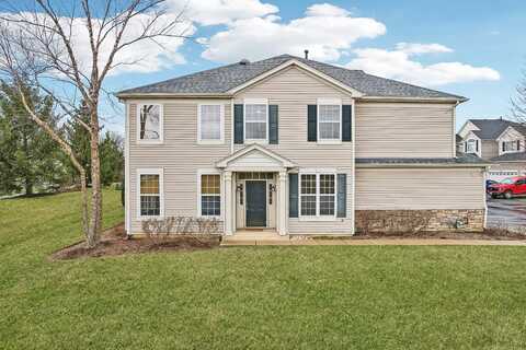 339 John M Boor Drive, Gilberts, IL 60136