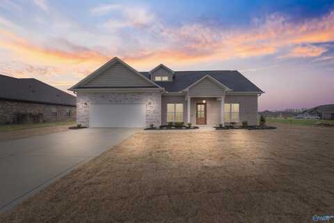 30 Tower Court, Trinity, AL 35673