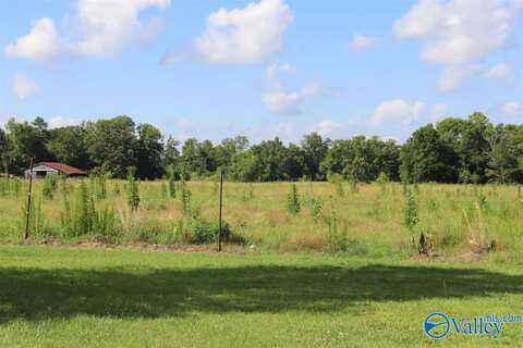 12.8 Acres Hobb Ward Road, Hartselle, AL 35640