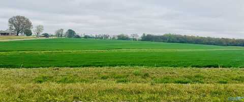 116 Acres Shaw Road, Athens, AL 35611