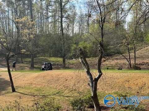 Lot 62 Heritage Drive, Guntersville, AL 35976