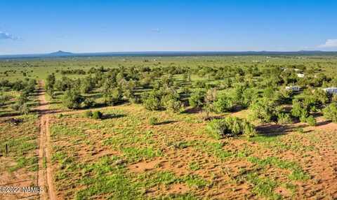 2907 S Alden, Williams, AZ 86046