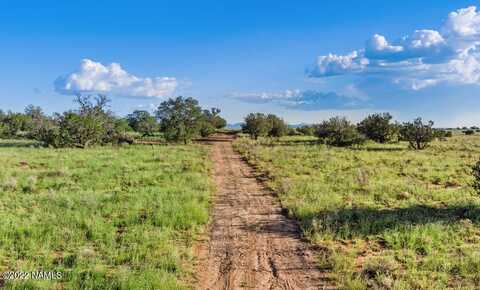 2907 S Alden, Williams, AZ 86046