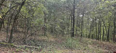 001-07553-000 CR 638, Mountain Home, AR 72653
