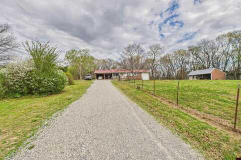 204 MC 6022, Yellville, AR 72687