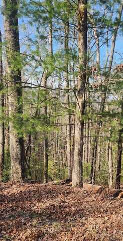 388 Country Hill Road, Hiawassee, GA 30546
