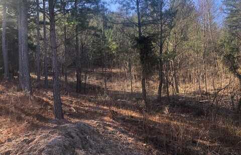 Lot 38 Loftis Mountain, Blairsville, GA 30512