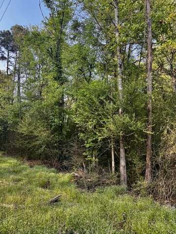 CR 3143 County Road 3143, Center, TX 75935