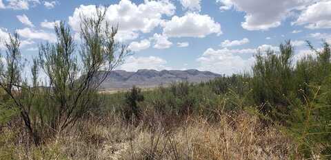 822 Tony Hess Rd., Terlingua, TX 79852