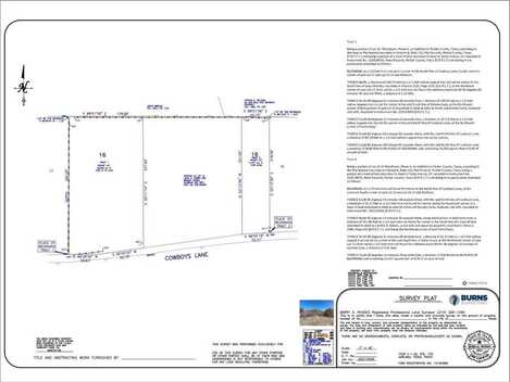 525 Cowboys Lane, Springtown, TX 76082