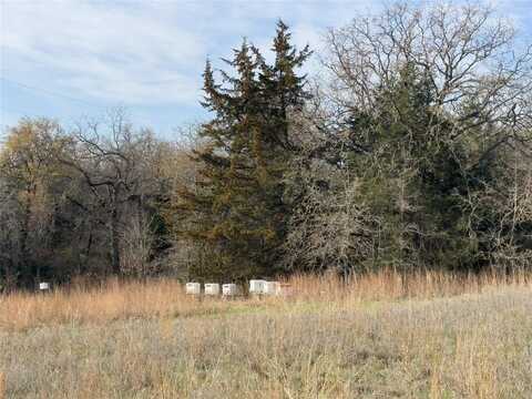 120 Pringle Court, Alvord, TX 76225