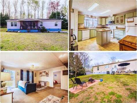 529 Ronald Dr, Strawberry Plains, TN 37871