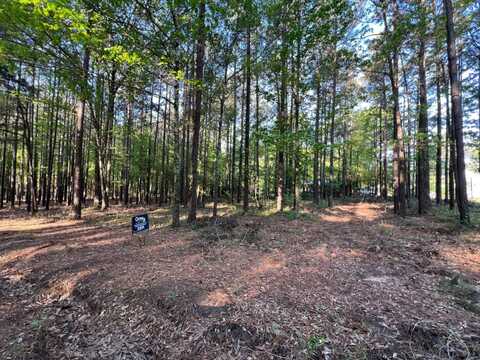 01 Lynch Clements Road, Converse, LA 71462