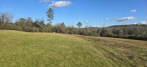 Lot 7 County Road 3339, Brundidge, AL 36010