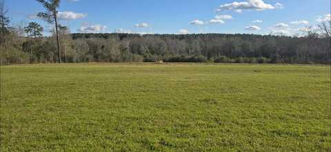 Lot 8 County Road 3339, Brundidge, AL 36010