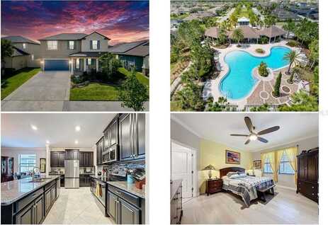 32101 GODDARD DRIVE, WESLEY CHAPEL, FL 33543