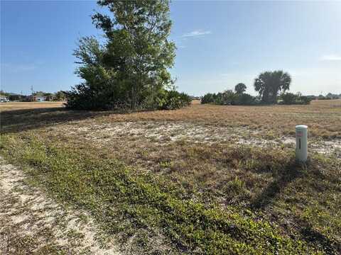 25 NW 17TH PLACE, CAPE CORAL, FL 33993