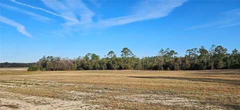 Lot 9 - 17.62Ac E Hwy 318, CITRA, FL 32113