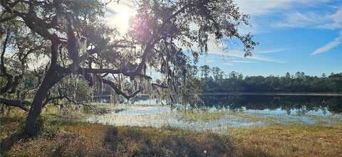 Lot 1 - 10.75Ac E Hwy 318, CITRA, FL 32113