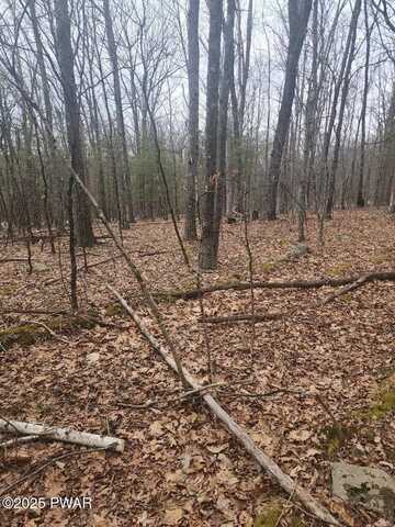 Lot 341 Timber Ridge Drive, Hawley, PA 18428