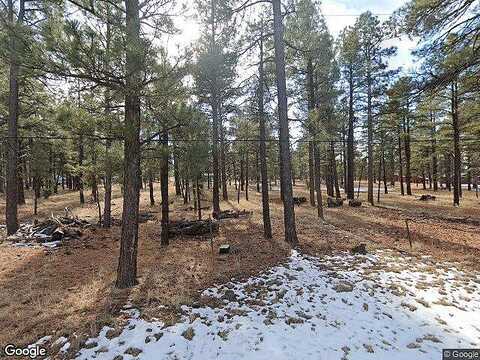 Lynx, FLAGSTAFF, AZ 86004