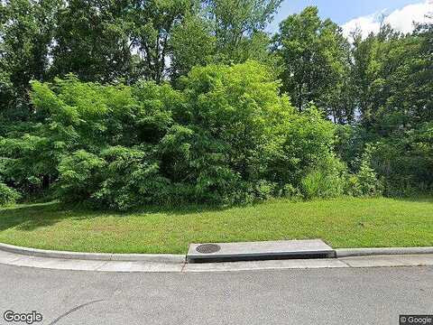 Nandina, ROANOKE, VA 24018