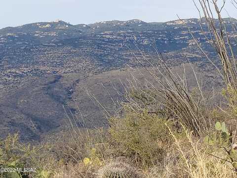 Gila Monster, VAIL, AZ 85641