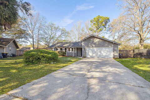 Boysenberry, JACKSONVILLE, FL 32244