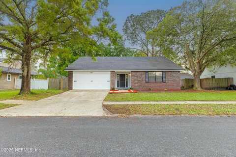 Morgan Horse, JACKSONVILLE, FL 32257