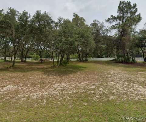 9695 E Baymeadows Drive, Inverness, FL 34450