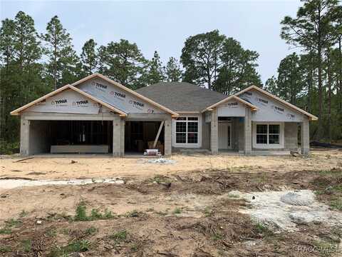 6254 W Deadwood Lane, Beverly Hills, FL 34465