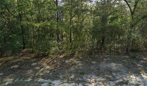 8904 N Alameda Drive, Citrus Springs, FL 34434
