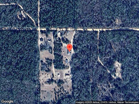 Buttercup, COTTONDALE, FL 32431