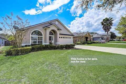 Birchbark, SAINT AUGUSTINE, FL 32092