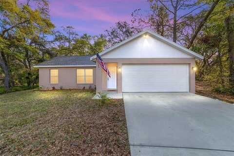 Hibiscus, LADY LAKE, FL 32159