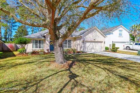 White Heron, JACKSONVILLE, FL 32224