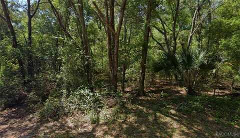8399 N Joiner Way, Citrus Springs, FL 34434