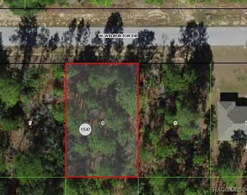 3768 W Wilburton Drive, Citrus Springs, FL 34433