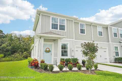 Grizzly, NEW PORT RICHEY, FL 34654
