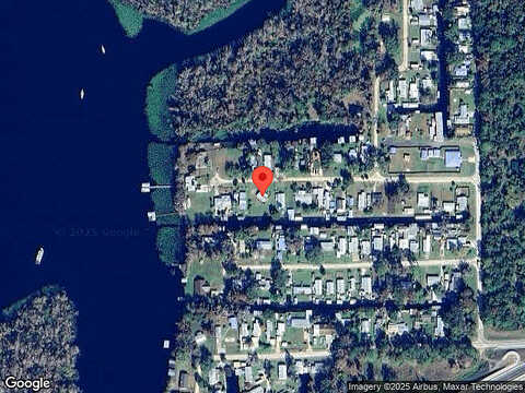 Palm, SATSUMA, FL 32189